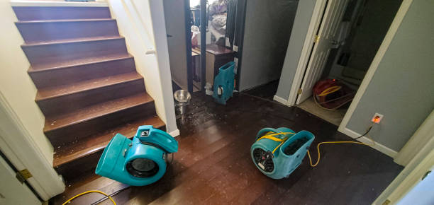 Best Fire Damage Restoration  in Fayette, MO