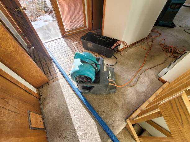 Best Water damage restoration near me  in Fayette, MO
